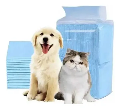 Baño Para Perro Pequeño