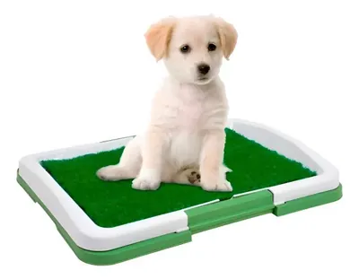 Baño Portátil para Cachorros y Perros Pequeños