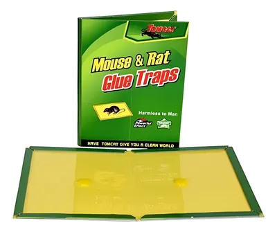 Trampas Para Ratones Con Pegamento